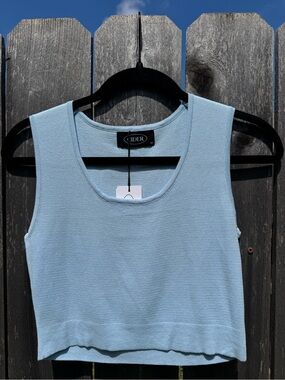 Cider Light Blue Crop Tank Top